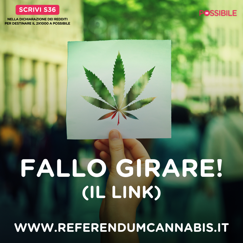 beabri's tweet photo. Per togliere risorse alle mafie, per controllare cosa viene venduto e consumato, per sbloccare una politica paurosa di prendere posizione su una questione che riguarda milioni di Italiani.

Si firma su https://t.co/txBtD6qfkj, ci vuole un minuto. Fallo girare! #ReferendumCannabis https://t.co/sz4S9EhMt9