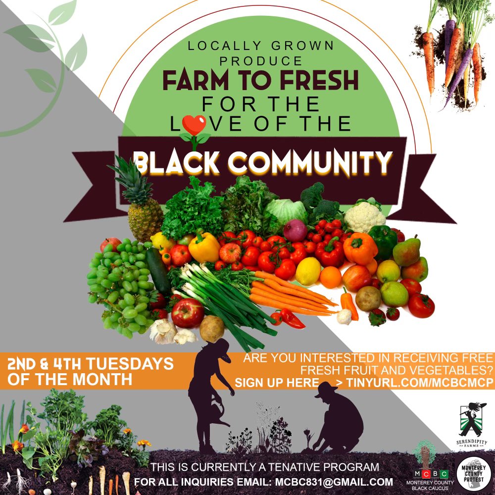 CountyProtest's tweet image. Are you a member of the Black community and would like fresh veggies and fruits for free? Please fill out the interest form! Link will be in bio 🥦🍅🌽🫐🍓🍇 *please share and repost*