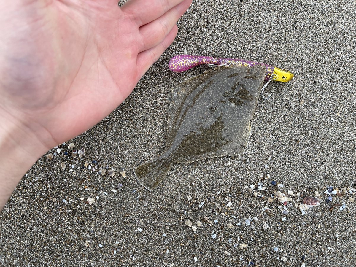 TF_Angler's tweet photo. 朝4時半からサーフしてお昼からハゼ釣り

(*´ω｀*)楽しかった〜 https://t.co/hrPEutt6gA