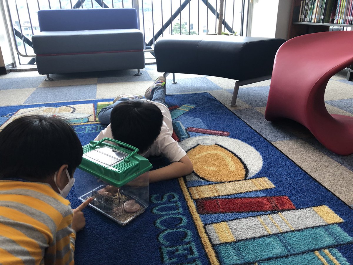 ES Students have Wondered, ?’d, &amp; predicted how the things in the box work together. They observed what was added &amp; developed their thinking.@SeoulSchool #librarylife