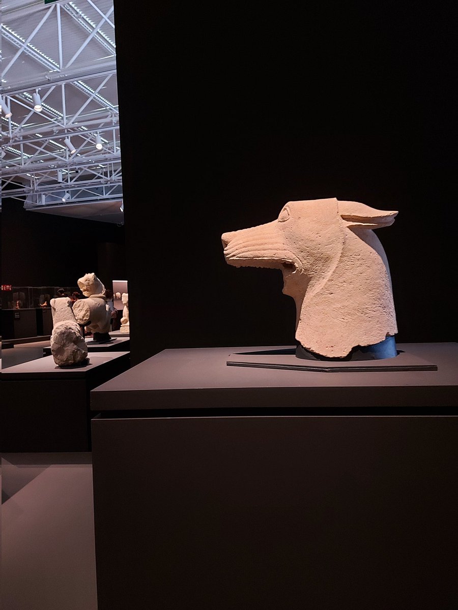 RoviraHortala's tweet photo. Avui acaba #Picassoibero una de les #exposicions més interessants de 2021 a #Santander . La influència de l' #art #iberic i una ocasió única de veure juntes #masterpieces dels #museus d' #arqueologia i la colecció privada de #Picasso https://t.co/jS934r1vJb