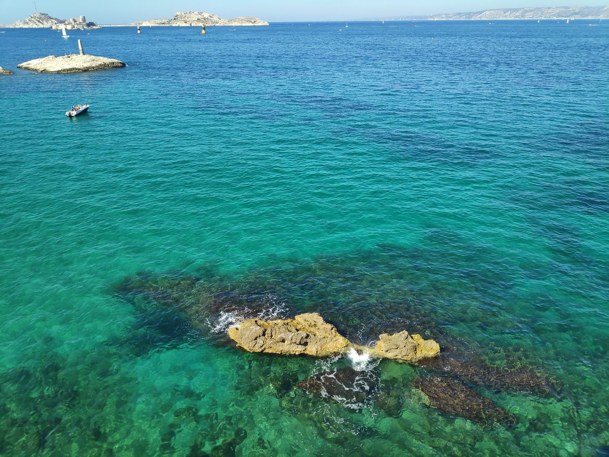 DaniStel tweet media