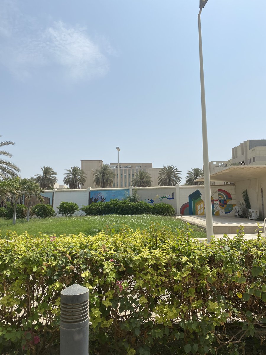 Gh_elarte's tweet photo. مساء أول يوم دراسي حضوري بالكلية 🤍
@FCITKAU #FCIT20 👩🏻💻 https://t.co/ExqKCEaK0I