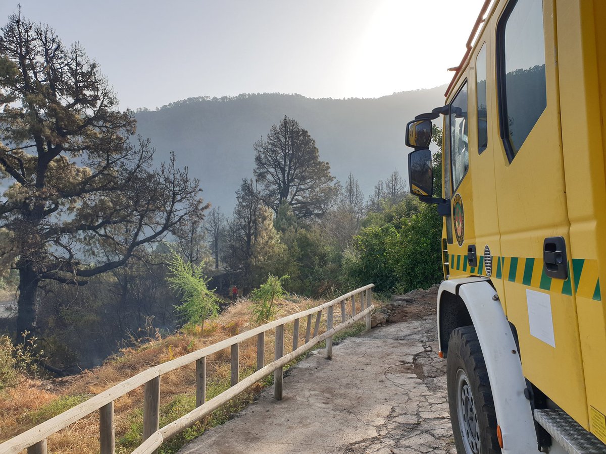 CECOPAL_Orotava's tweet photo. Los servicios de emergencia continúan trabajando en la zona donde ayer se declaraba el #IF Pinolere. #Brifor #PoliciaLocal #ProteccionCivil y #GuardiaCivil continúan desplegados en la zona. https://t.co/yEyFMjdXy8