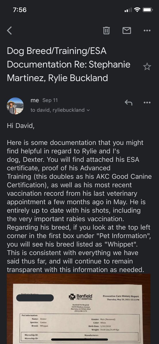 stepphhmartinez's tweet photo. My landlord is “demanding” to meet Dexter to confirm he’s breed and has threatened to end our lease if we don’t, even though this is not in our lease—are we legally required to do so? Also, had to clap back at him; thank you grad school for this professional development https://t.co/xwTsCBTBFY