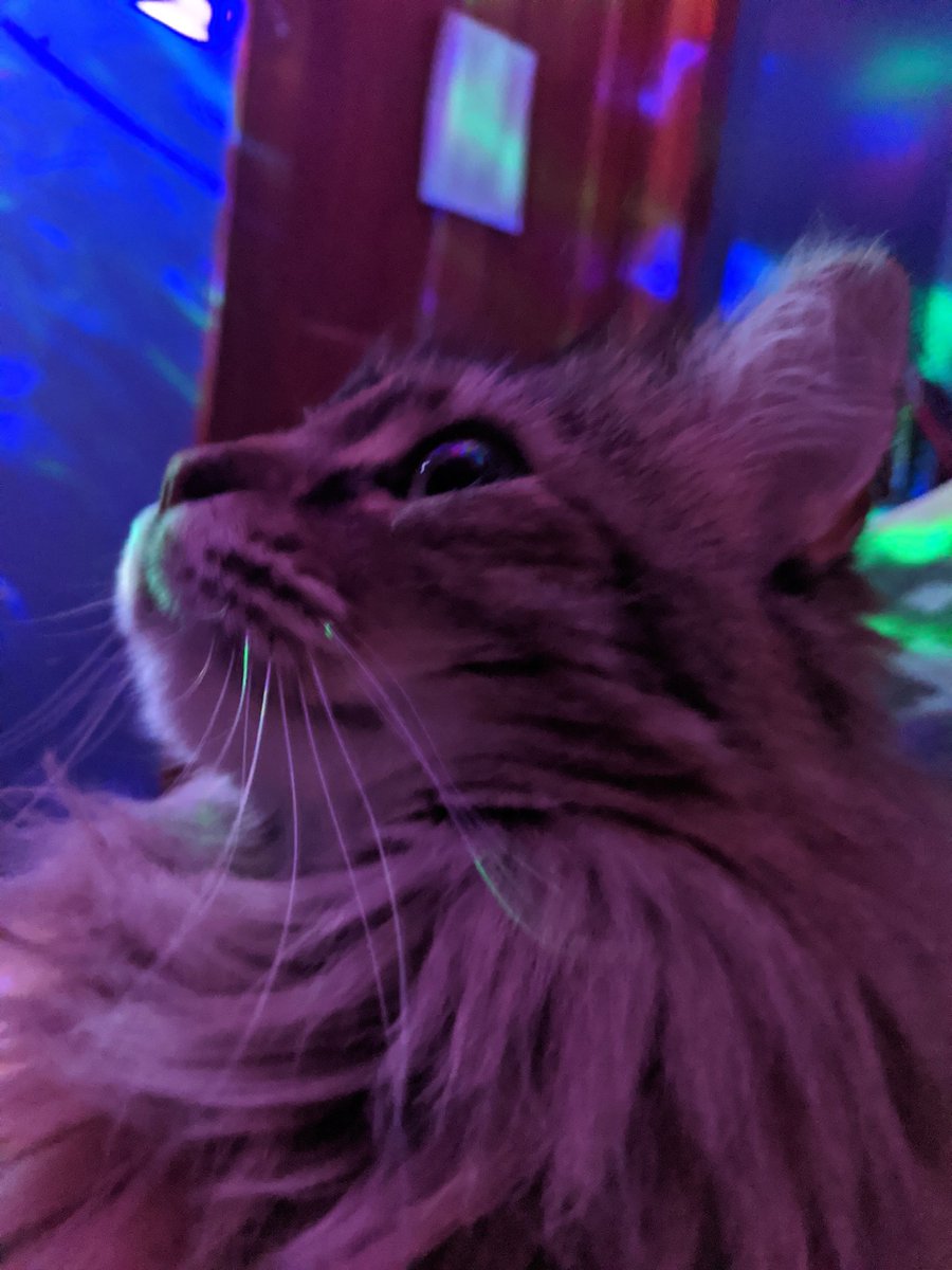 Snow 🦝🎸💤 | 🎗️ | ia mostly tweet media