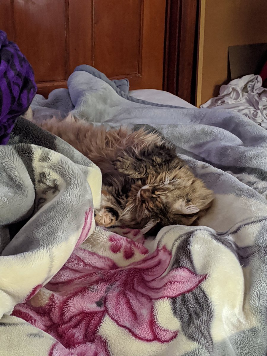 Snow 🦝🎸💤 | 🎗️ | ia mostly tweet media