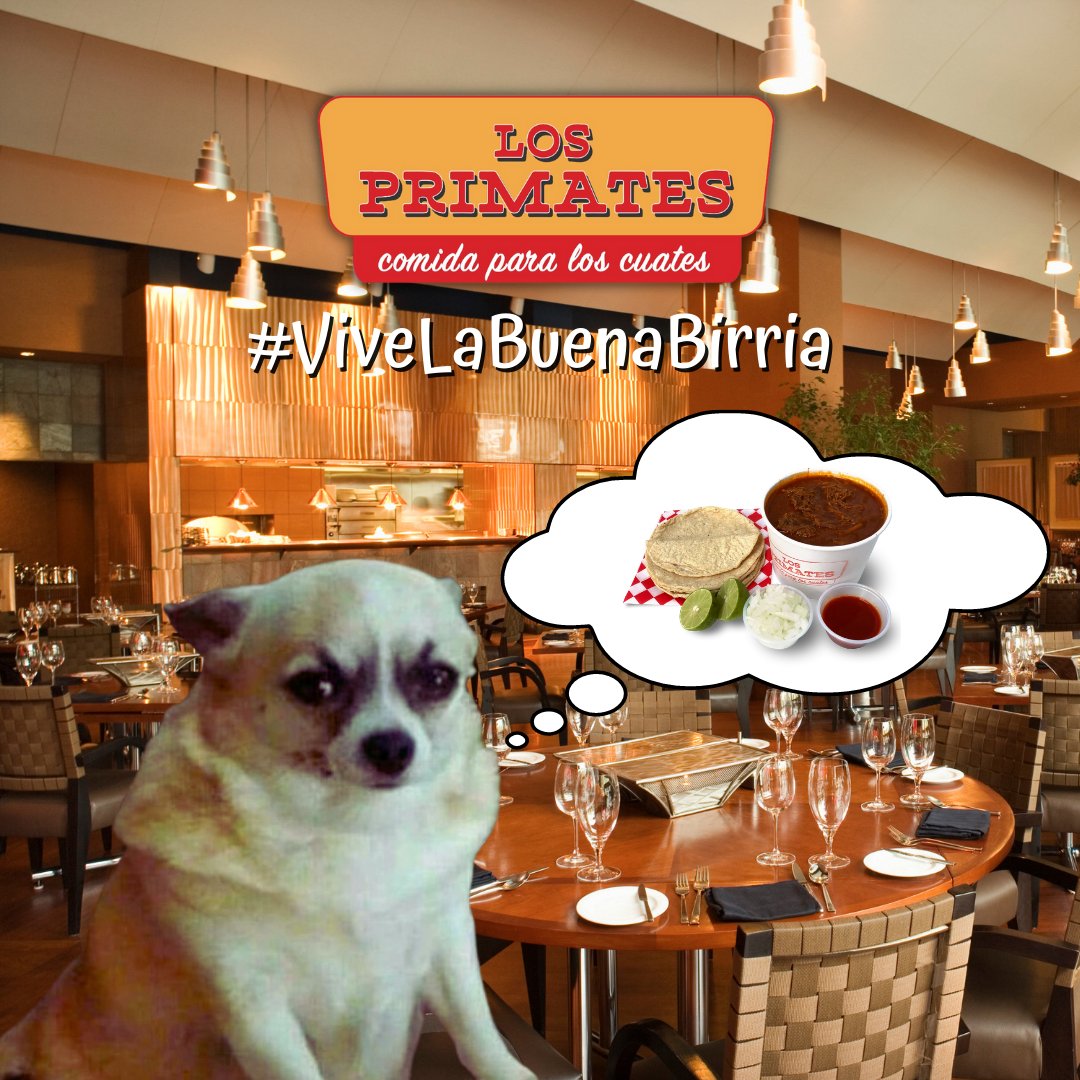 losprimatescdmx's tweet photo. 🙉 😂 Cuando te llevan a un lugar fancy en DOMINGO y lo único que quieres ES BIRRIA DE LOS PRIMATES EN CASITA Y NETFLIX 🙊 🤣 ☺️ 😴  #ViveLaBuenaBirria 😍 #BirriaCDMX #Quedateencasa #PideLocal https://t.co/UL4BRzfI3h https://t.co/DbBupRCazc