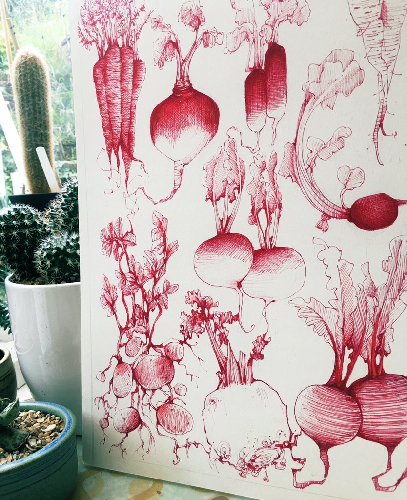aheavysoul's tweet photo. Back in #thePottingShed Gone a bit oldschool with my drawing style. I had an idea, at around 3am, of creating an #EncyclopaediaBritannica (circa 1907) inspired illustration featuring root veg. Isolation does weird things to you. Not finished yet but neatly there. #andreajoseph https://t.co/swAY66fQwD