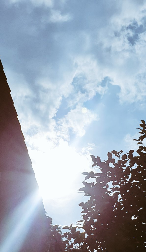 Ik. Hou. Van. Zon🌞