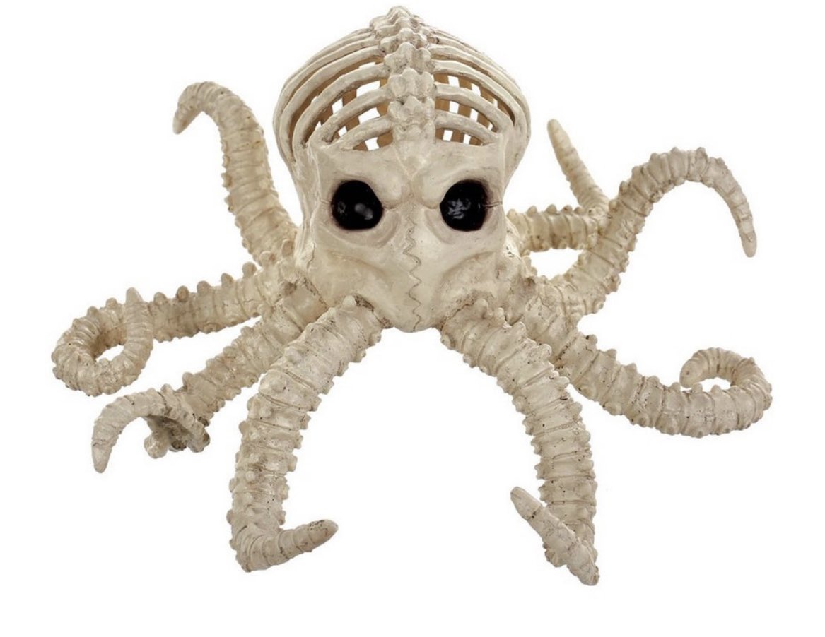 TheUnshored's tweet photo. I love Halloween, it’s that special time of year when all animals get to have skeletons, just for one night https://t.co/1iPcXwZ189