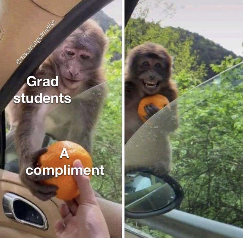 Grant_Munnae's tweet photo. Hand over those oranges!! 🍊 🍊 🍊

#research #academia #AcademicChatter #gradschool #phdchat #phd #masters #researchgotmelike #researchlife #gradschoolproblems #gradschoollife #gradschoolprobs #sciencememes #supervisor #phdproblems #phdlife https://t.co/h3Vcbg3h3x