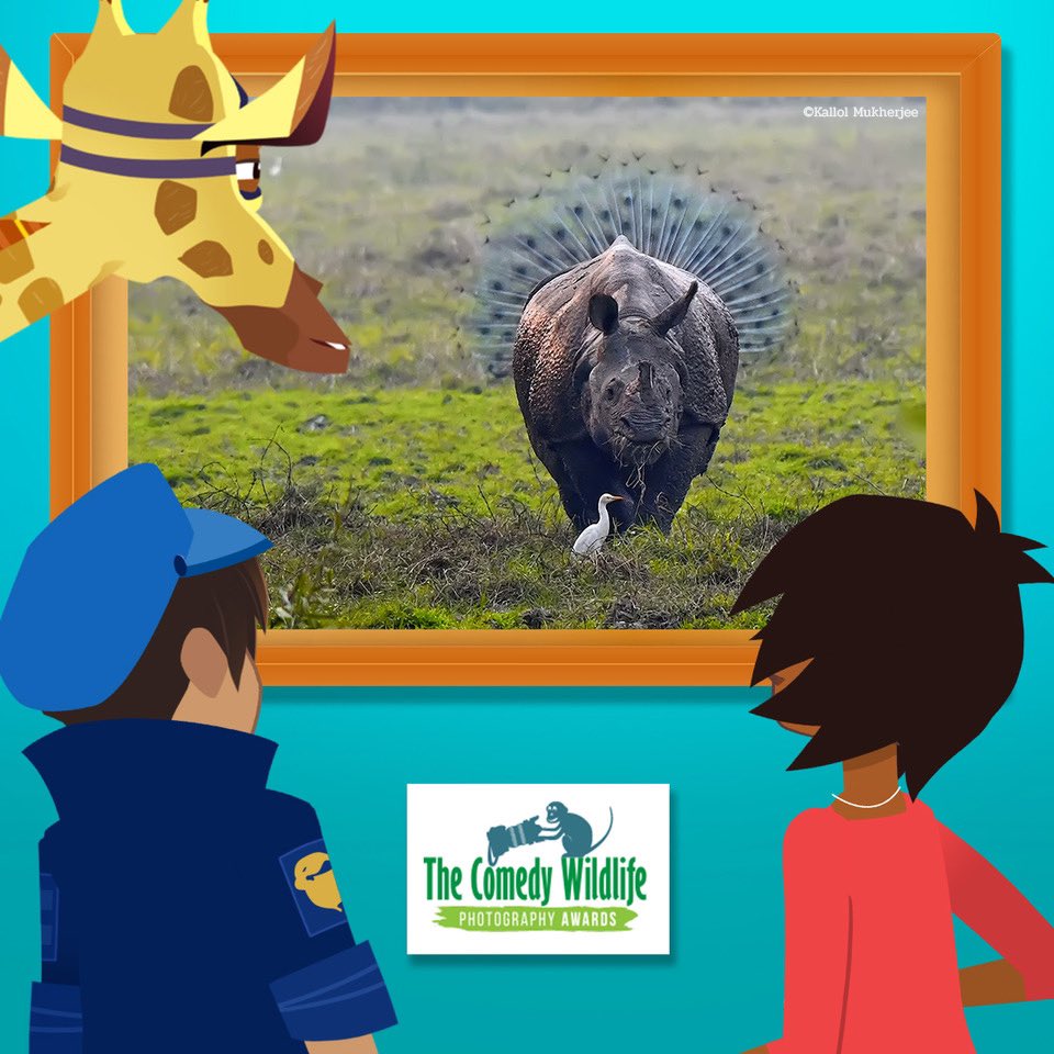Calling all young comedy writers! We’ve recently teamed up with the <a href="/nightzookeeper/">Night Zookeeper - Fantastically Fun Learning</a> to share some of our favourite funny animal photos every Sunday as part of their Star Writing Challenge. Head over to the <a href="/nightzookeeper/">Night Zookeeper - Fantastically Fun Learning</a> or visit their website to find out more - and get writing!