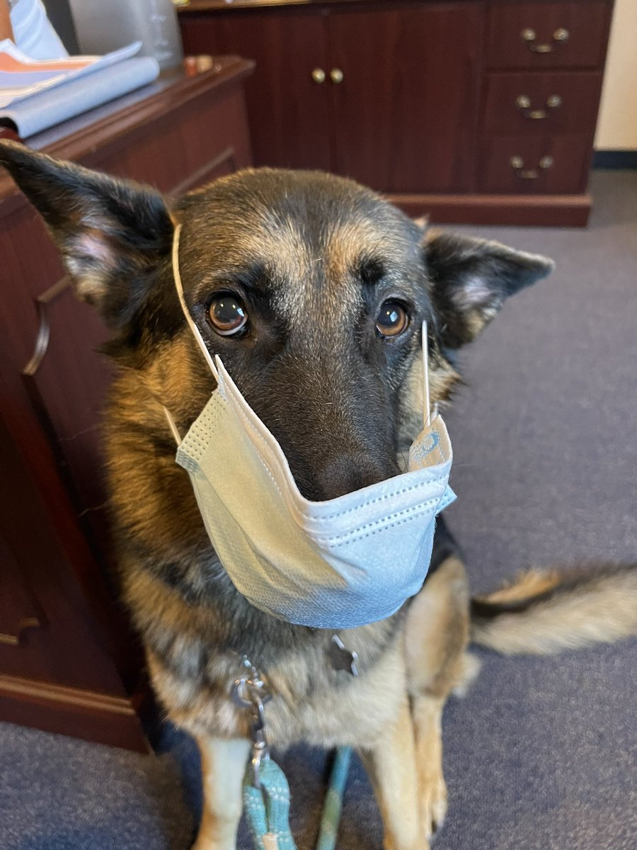 I’m ready for Monday!  Masks aren’t my favorite but if it helps my <a href="/SiegelHighStars/">Siegel High School</a> stay healthy and in school, then I’m all for it! #siegelunited