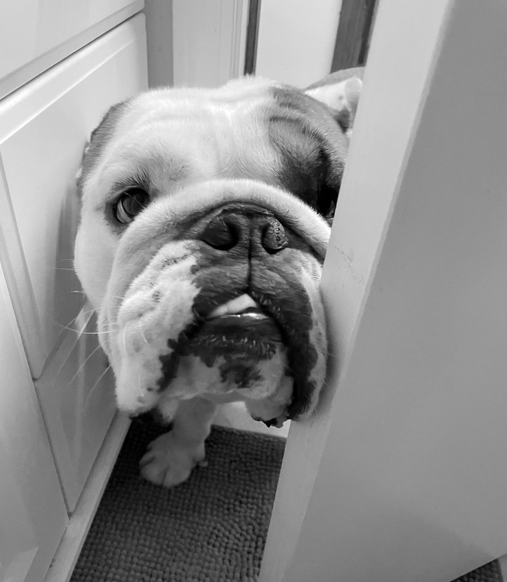 do you have a minute to talk about your car’s extended warranty