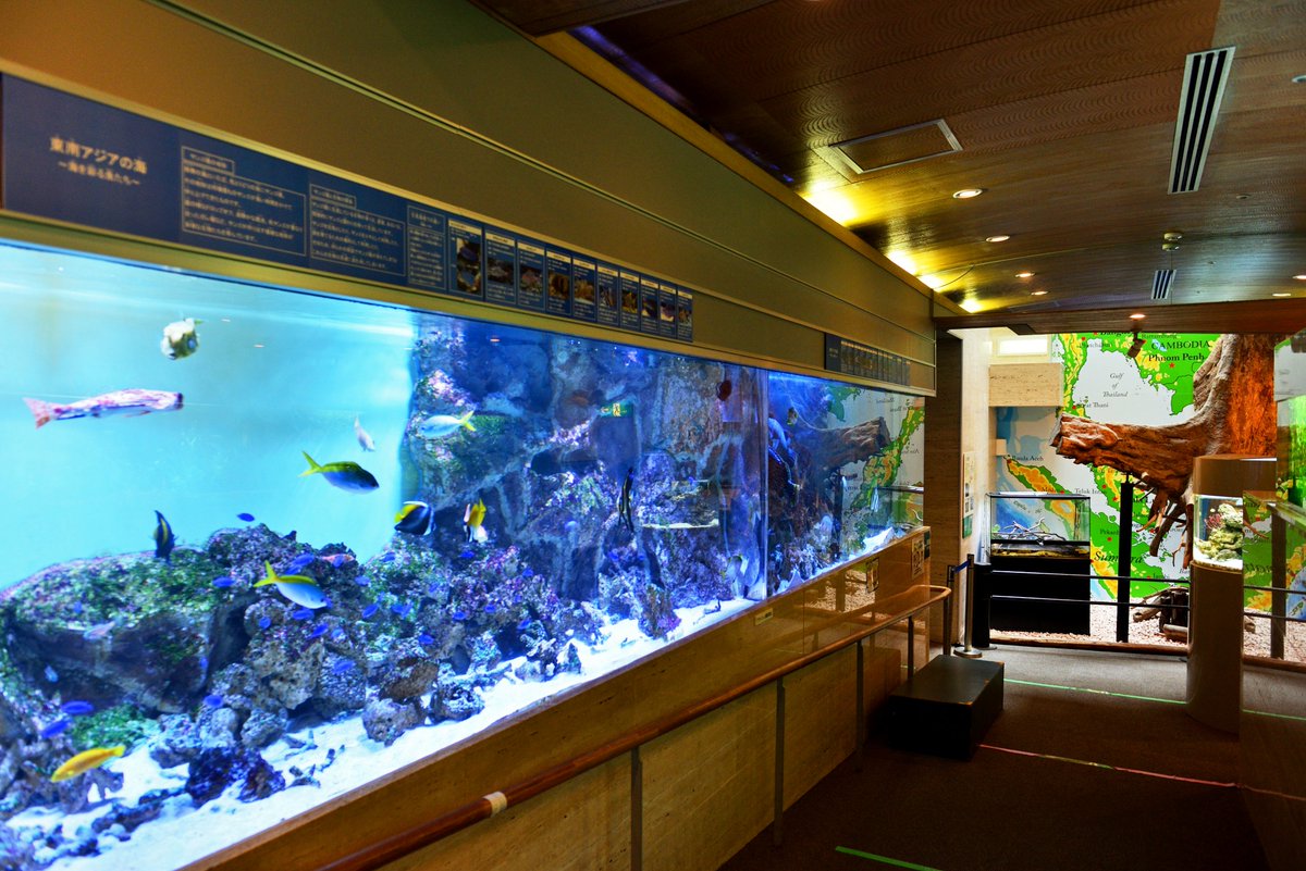 パルスザン 板橋区立 熱帯環境植物館へ行ってまいりました 巨大団地で有名な高島平にありまする 水族館も平成されていてお得感 入場260円でお得感 Photography ふぉと Coregraphy 高島平 板橋区 熱帯環境植物館 ねったいかん T Co パルスザン 板橋区立 熱帯環境植物館へ行ってまいりました 巨大団地で有名な高島平にありまする 水族館も平成されていてお得感 入場260円でお得感 Photography ふぉと Coregraphy 高島平 板橋区 熱帯環境植物館 ねったいかん T Co