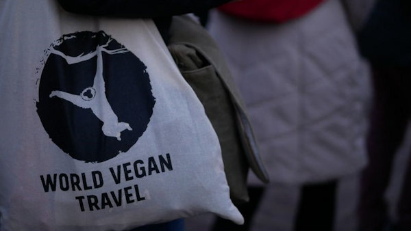 Celebrate New Year’s Eve in Botswana &amp; Cape Town on a Vegan Safari Group Trip upflow.co/l/XLBZ