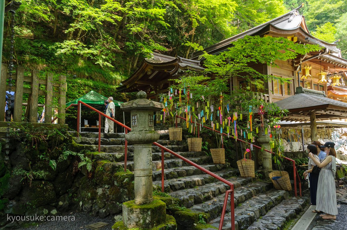 MacFan_kyousuke's tweet image. 夏の思い出
#夏の思い出
#夏を振り返る
#ファインダー越しの私の世界
#写真好きな人と繋がりたい
#Nikon
#OLYMPUS
#カメラ好きな人と繋がりたい