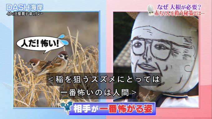 アヲイ さん がハッシュタグ 鉄腕dash をつけたツイート一覧 1 Whotwi グラフィカルtwitter分析 アヲイ さん がハッシュタグ 鉄腕dash をつけたツイート一覧 1 Whotwi グラフィカルtwitter分析