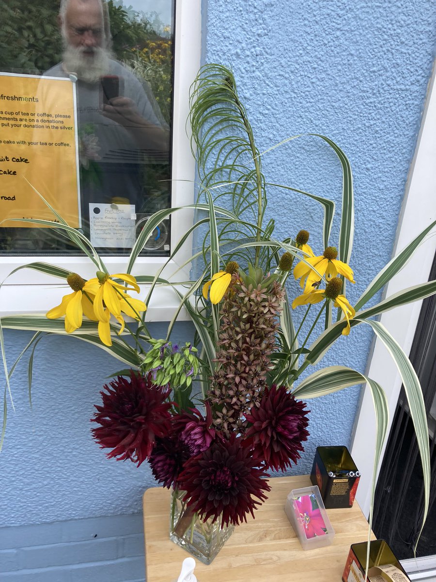 Devsubtropgdn's tweet photo. Just getting ready to open for our last @NGSOpenGardens @DevonNGS opening of the year. 
Our first visitor was this bee! 🐝 https://t.co/W23QIOKHCQ