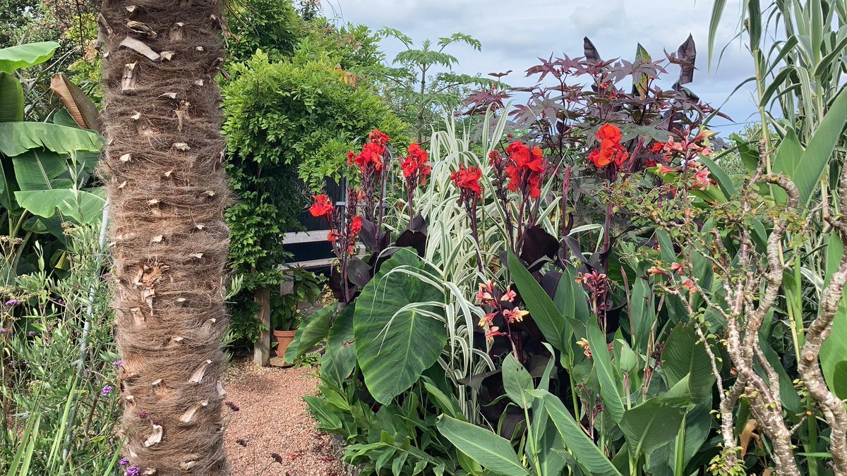 Devsubtropgdn's tweet photo. Just getting ready to open for our last @NGSOpenGardens @DevonNGS opening of the year. 
Our first visitor was this bee! 🐝 https://t.co/W23QIOKHCQ