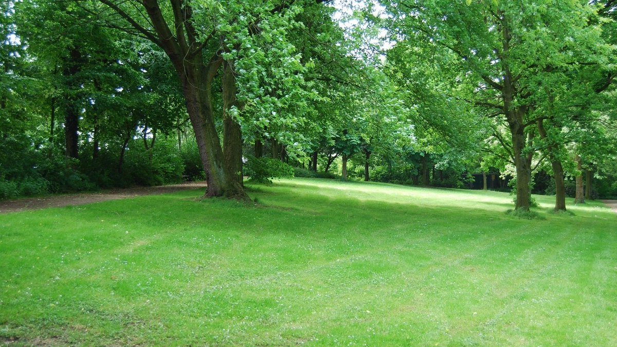 Going to the park is a great way to keep the kids entertained &amp; keep yourself moving. 

Just 30 mins of movement a day will help keep you fit, healthy and happy!

Find out what's happening at  your local park here: bury.gov.uk/parks
#KeepMoving #GMMovingInAction #Parks