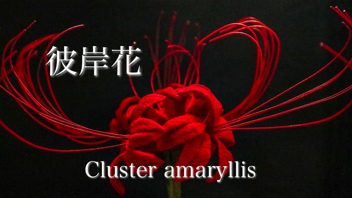 made めいど つまみ細工 Kazari Twitter