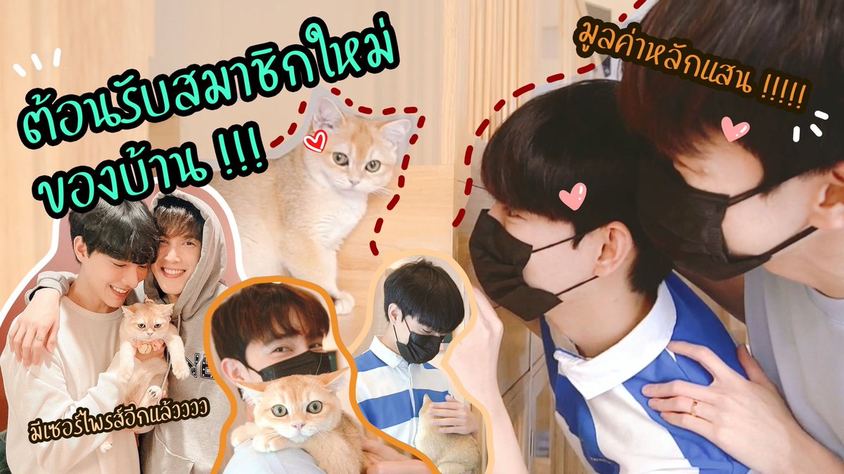 helloimnewyear's tweet photo. คลิปใหม่มาแล้วว คิดถึงพวกเรากันมั้ยย มาดูความน่ารักของน้องSummer กันค้าบ🥰😻 https://t.co/S1fT2Eb0UB https://t.co/fjXv0OAL98