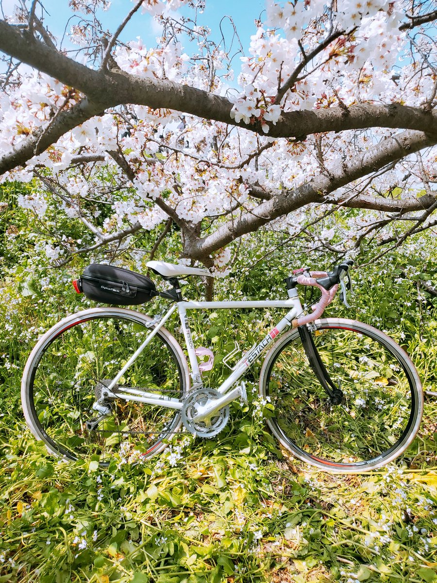 furandaa11's tweet photo. また行きたいなぁ
#多摩川
#桜
#Testach
#ピンク https://t.co/otzoG5Gnqz