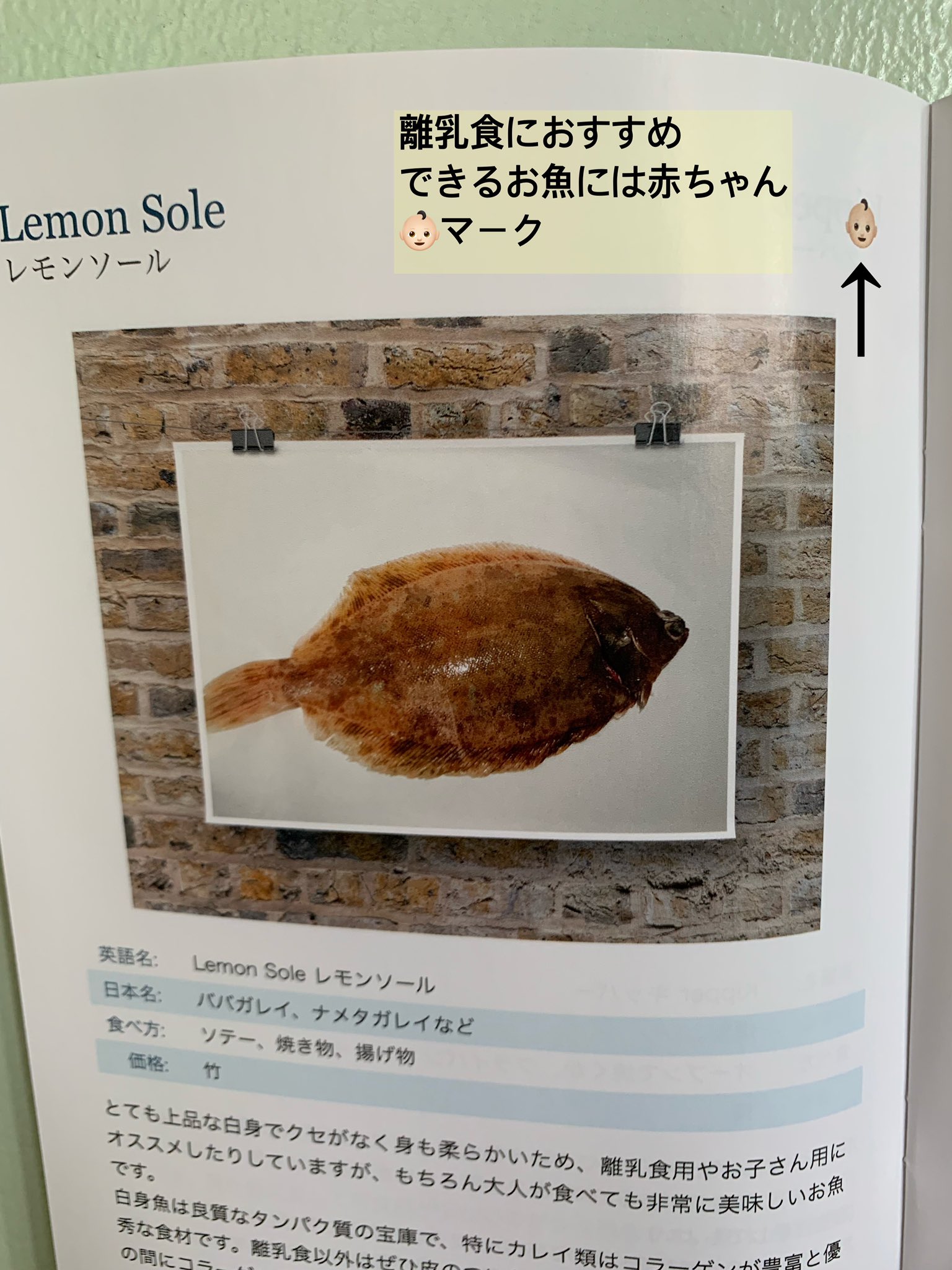 プリヒル姉さん ロンドン魚屋 ずっと作りたかったお魚ハンドブック出来上がりました A5サイズ小冊子になっています 近海 魚を中心に ヨーロッパにやって来る輸入魚を今の魚屋に勤めて撮り貯めた写真の中から約100種類のお魚 シーフード 魚介加工品を