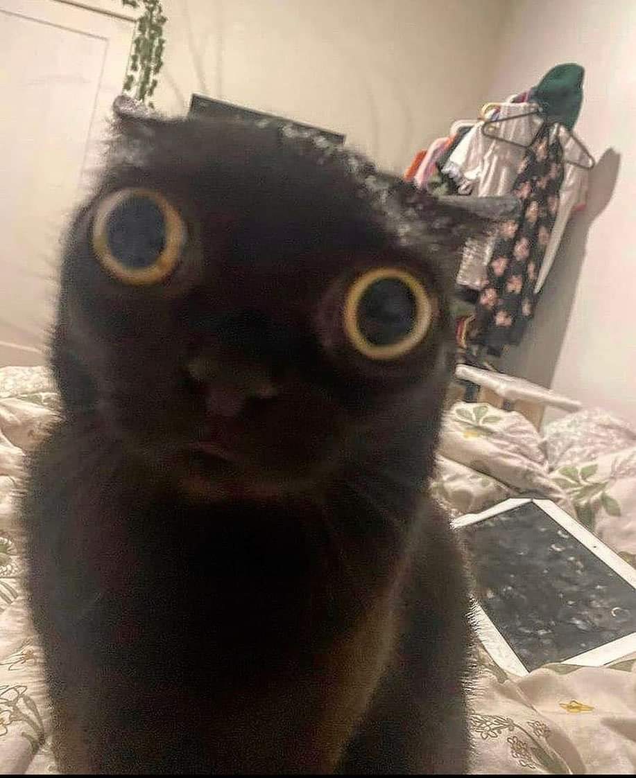 𝐊𝐞𝐯𝐢𝐧 (@thatcarnieimp) on Twitter photo 