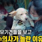 Photo by 미국수의사The Veterinarian's Diary (@VetonFire)