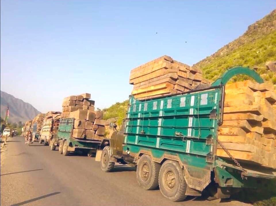 HabibKhanT's tweet photo. Afghan timbers being smuggled out to Pakistan from Kunar province. Cutting forests is illegal in Afghanistan. Pakistan is exploiting Afghanistan on so many levels; killing our people, stealing our natural resources, and sending terrorists from the Maddrasas. #SanctionPakistan https://t.co/vLVVV4meHc