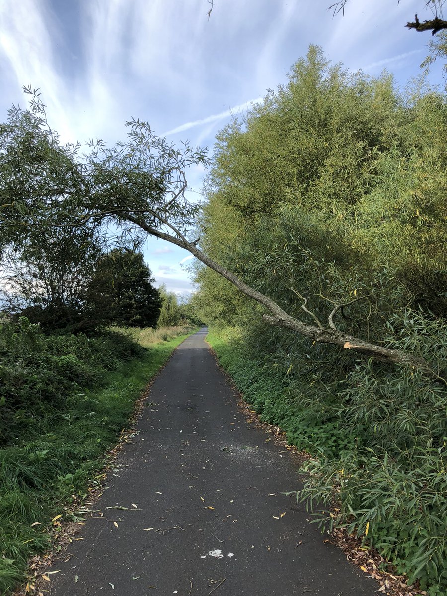 nickaford's tweet photo. @MartynBrunt - tree down on McClean Way between Cartbridge Road and Harden Road - someone has taken a few branches off but it is getting lower! https://t.co/oxknLj1wYC
