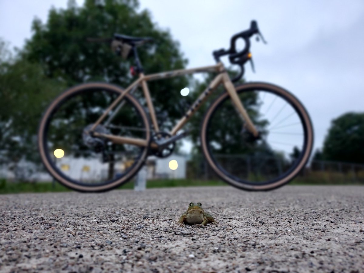 speedriverbike's tweet photo. Hoppy Sunday!
#gravel #crossiscoming #cyclingphotos #nature #guelph #sundayfunday #dawnpatrol #frogsofinstagram #toadsofinstagram #idontknowthedifference https://t.co/I6w8kzmJDe