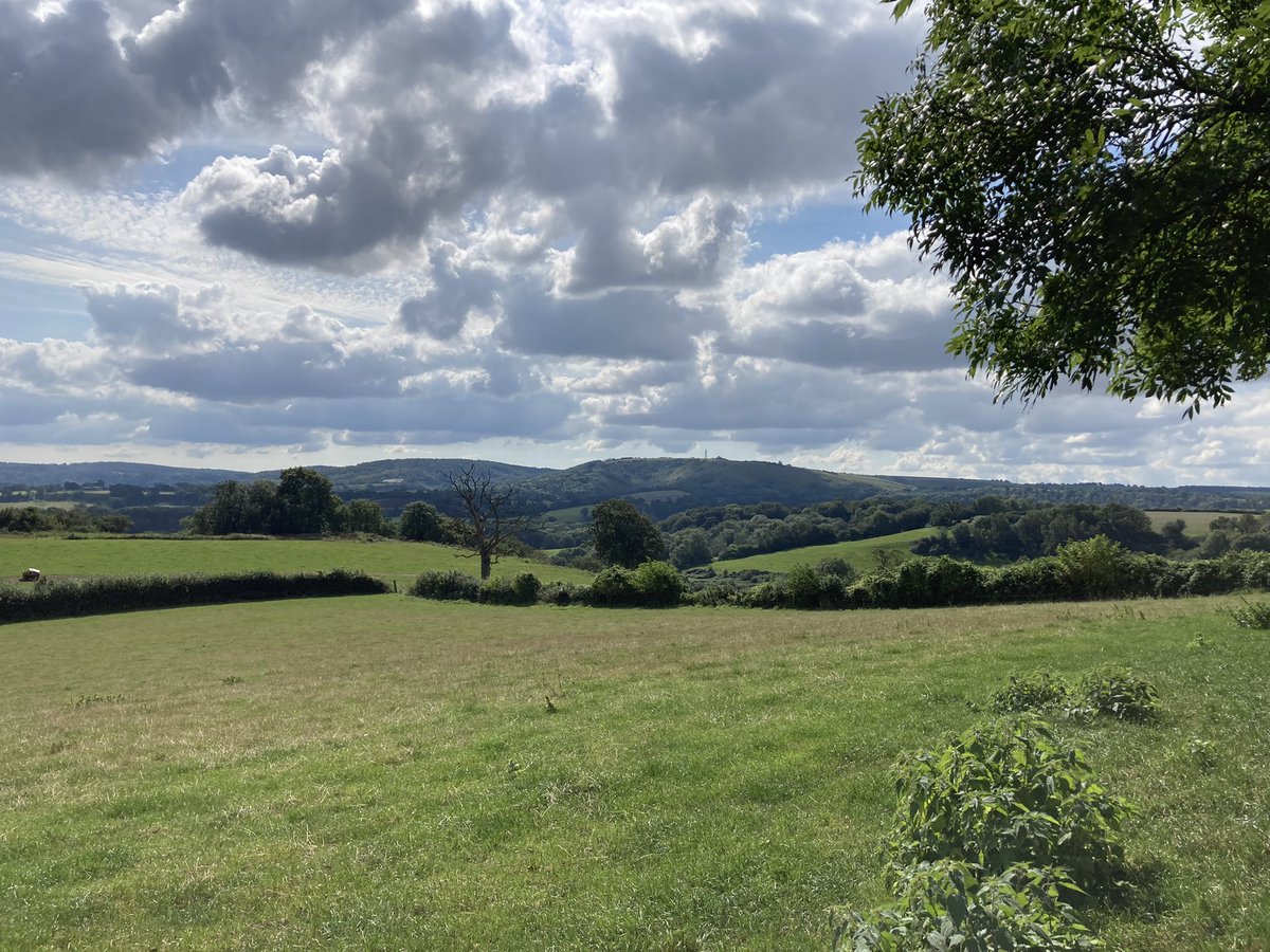 Chalk paths <a href="/sdnpa/">South Downs National Park</a> #Hampshire #CountrysideWalks #wellbeing