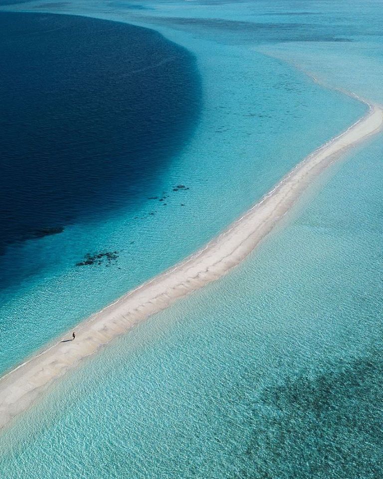 resortbeds's tweet photo. A glorious expanse of endless shades blue.
COMO Cocoa Island, Maldives
#COMORecipes #COMOCocoaIsland #COMOHotels
#maldives #islandstyle #resort #travel #lifestyle #luxurytravel #morningslikethese #travelandlife #discoverglobe #openmyworld https://t.co/NrxktjA8Ho