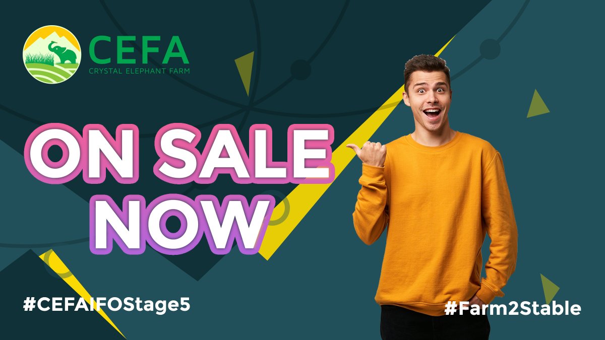 Crystal Elephant Farm (CEFA) tweet media