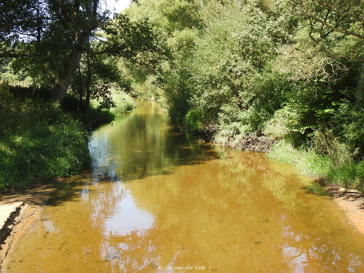 Dinkel en brug Graafschapspad #Losser 
#SchatkamervanTwente #Twente #BekiekTwente