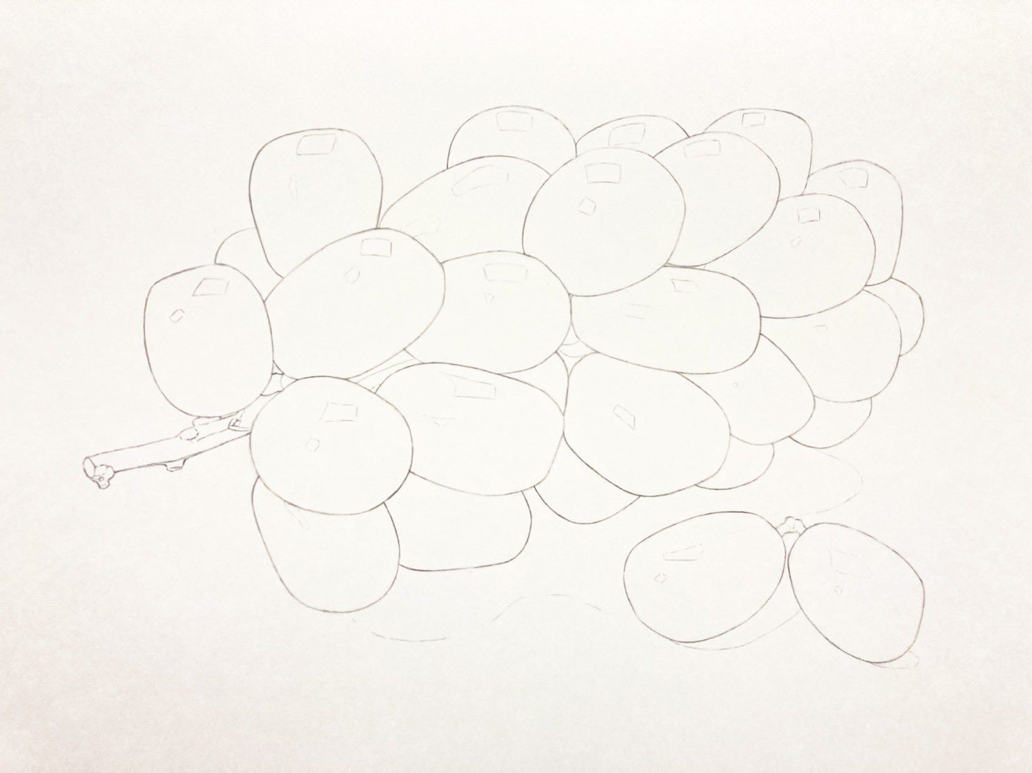 射光、色鉛筆画　B2サイズ　入選作品 二度見するほどリアル！ 色鉛筆画ユニット・イロドリアルの原画