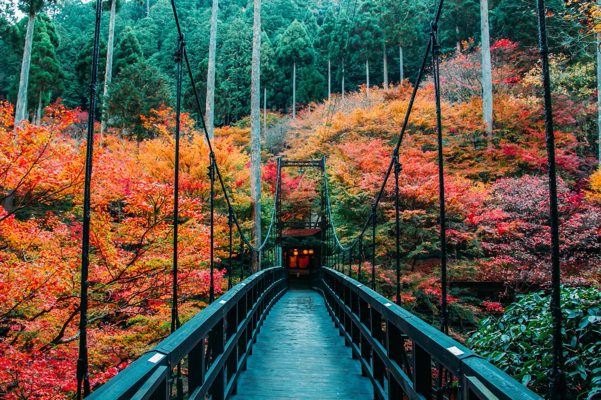 Had enough of the big, sprawling city? 
Check out these nature-filled day trips within an hour from #Tokyo:
wanderplans.com/destinations/m…
wanderplans.com/destinations/k…
wanderplans.com/destinations/m…
#Wanderplans #MountTakao #kamakura