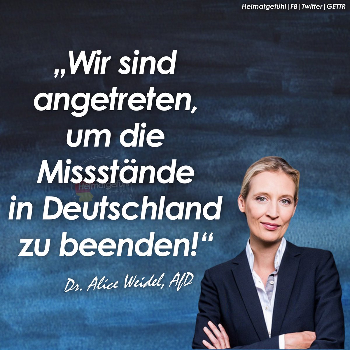 HeimatliebeDE's tweet photo. Für ein #Deutschlandabernormal! 🇩🇪💙 @Alice_Weidel https://t.co/RxeAPaf9RX