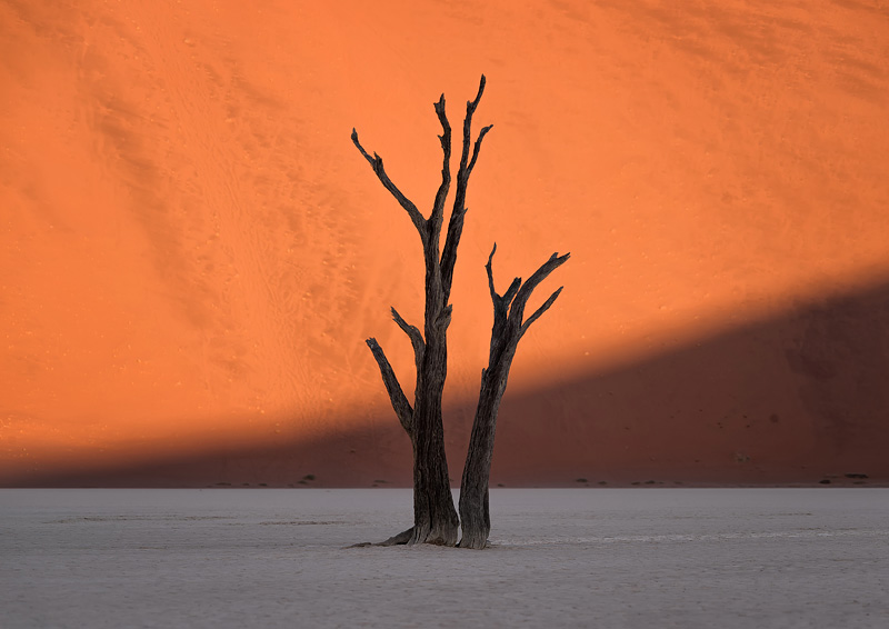 PHOTO OF THE DAY Share YOUR Picture: lp-mag.com/pc Deadvlei, Namibia by Conor MacNeill #landscapephotography #landscapephotographymagazine #landscapephotomag thefella.com @thefella