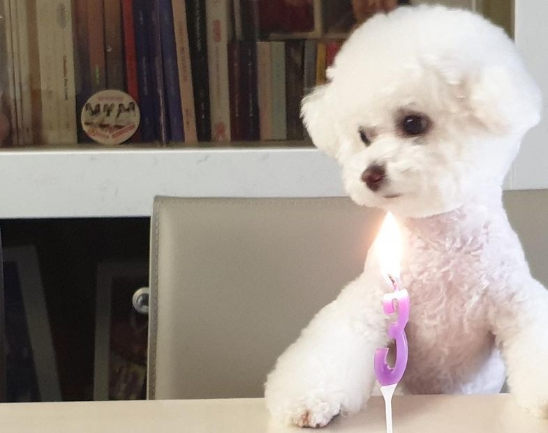 _mademydayz's tweet image. SinB keeping all her GFRIEND albums at her house. 😊