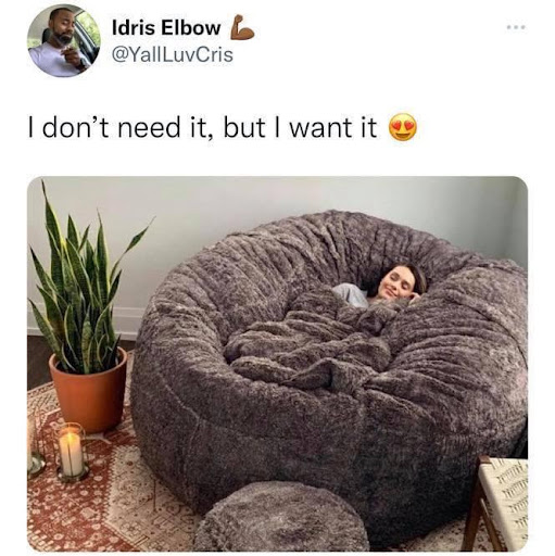 ohpolly's tweet photo. What we NEED for a Sunday, who agrees?! https://t.co/dJ7z09WeRb
