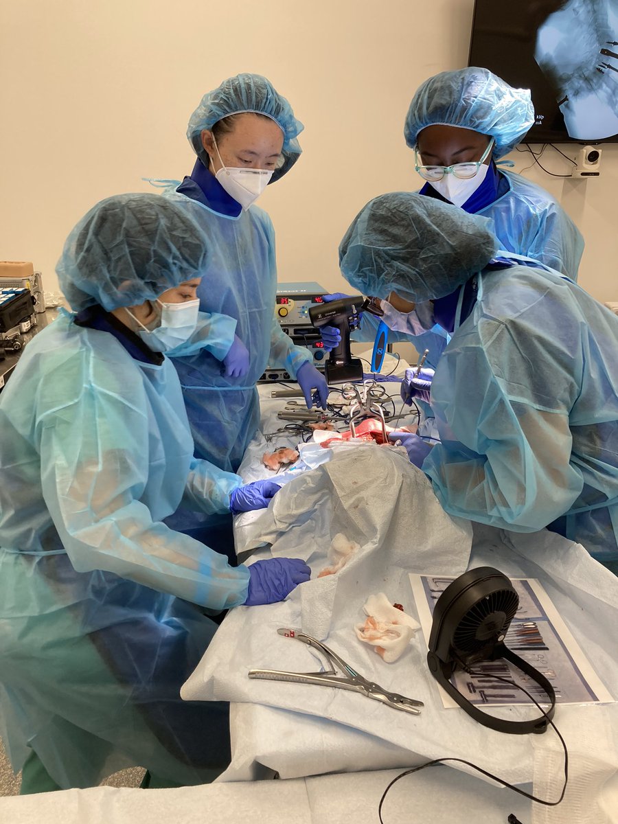 LaPetitePedicle's tweet image. Thanks to @zimmerbiomet for hosting a great cadaver course and @TimWithamMD for teaching us about the mobi-c cervical disc replacement device! @HopkinsNsurg  @BonsrahNancy #cadaverlabs #residentteaching #meded