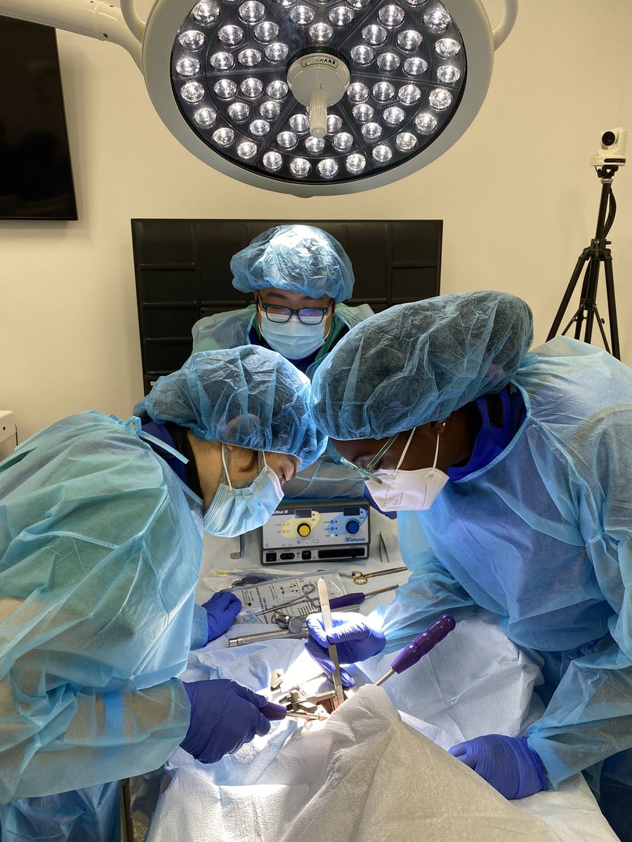 LaPetitePedicle's tweet image. Thanks to @zimmerbiomet for hosting a great cadaver course and @TimWithamMD for teaching us about the mobi-c cervical disc replacement device! @HopkinsNsurg  @BonsrahNancy #cadaverlabs #residentteaching #meded