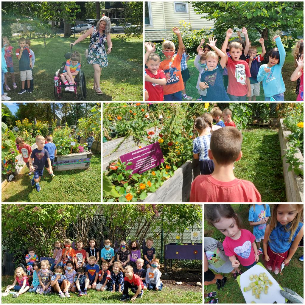 givinggardenUP's tweet photo. Packing in some garden connections in the 1st week of school @upeshcsd #pickingapples #growingjoy #gardentastings #NYfarmt2school @HCSDLearns @HCSDF2S #gardenbasededucation #handsonexperiences #outdoorclassroom #HamburgCentral #gardenexplorers #pollinatorhunt #learninginbloom https://t.co/zC6RTD1pyX
