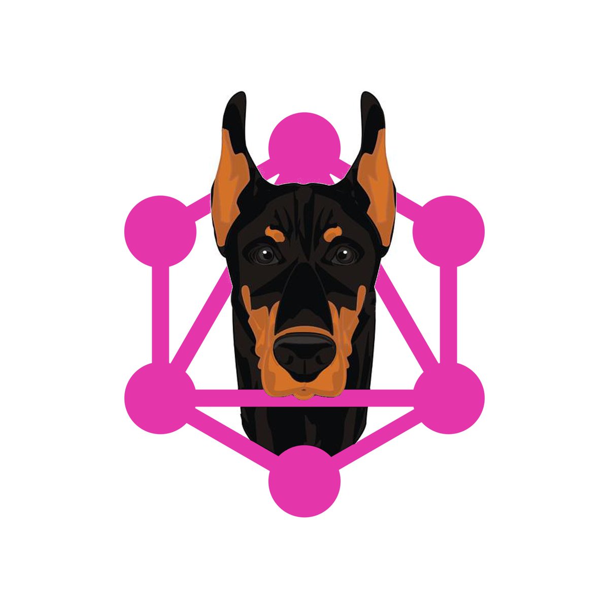 KitPloit's tweet image. Graphw00F - GraphQL fingerprinting tool for GQL endpoints j.mp/3hphzbn #Enumeration #Graphw00F #InformationGathering #WordPress