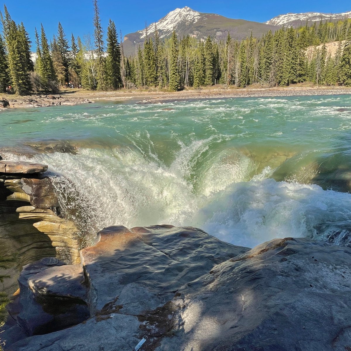 EricTAdventures's tweet photo. Athabasca Falls - Jasper, AB
https://t.co/fNnQpSKwEg
#hiking #outdoors #waterfall #jaspernationalpark #athabascafalls #travelcanada #hikealberta #jasperalberta #insidecanada #outdooradventures #glacierwater #icefieldsparkway #waterfallsofinstagram #albertaparks #explorejasper https://t.co/9FzZopgSmb